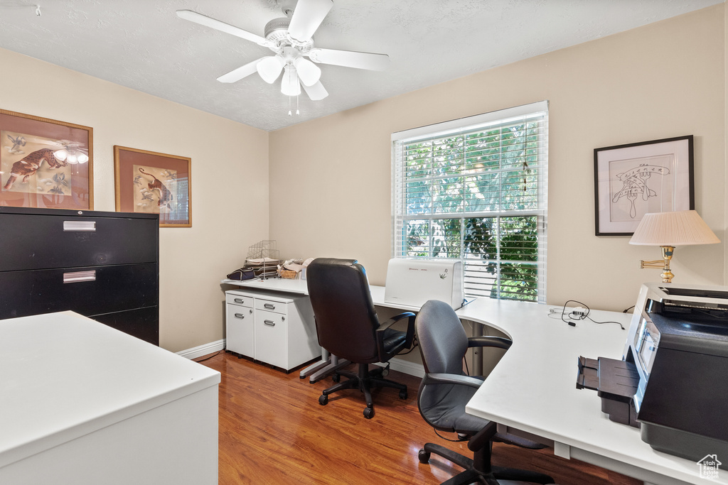 Office space featuring light wood-style floors and ceiling fan