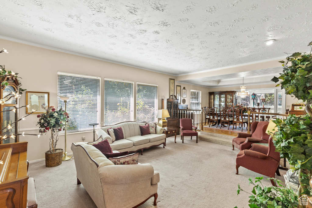 Living room with carpet floors, ornamental molding, and a textured ceiling