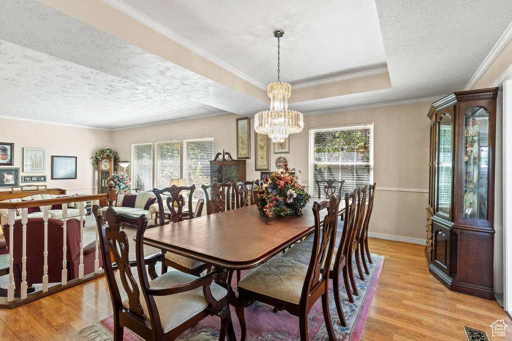 Dining space featuring plenty of natural light, light wood-style flooring, a chandelier, a textured ceiling, and ornamental molding