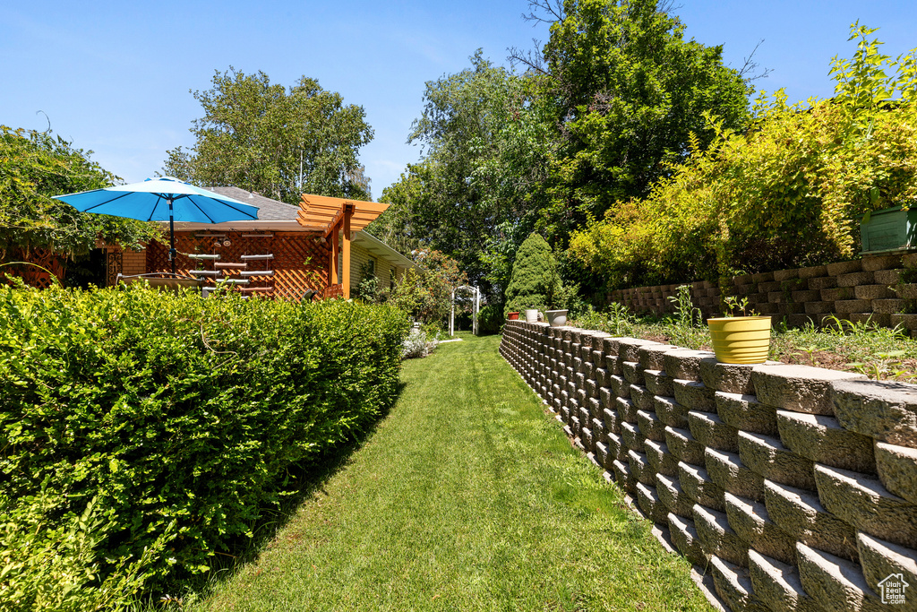 View of grassy yard