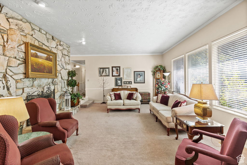 Living area with carpet floors, a textured ceiling, and ornamental molding