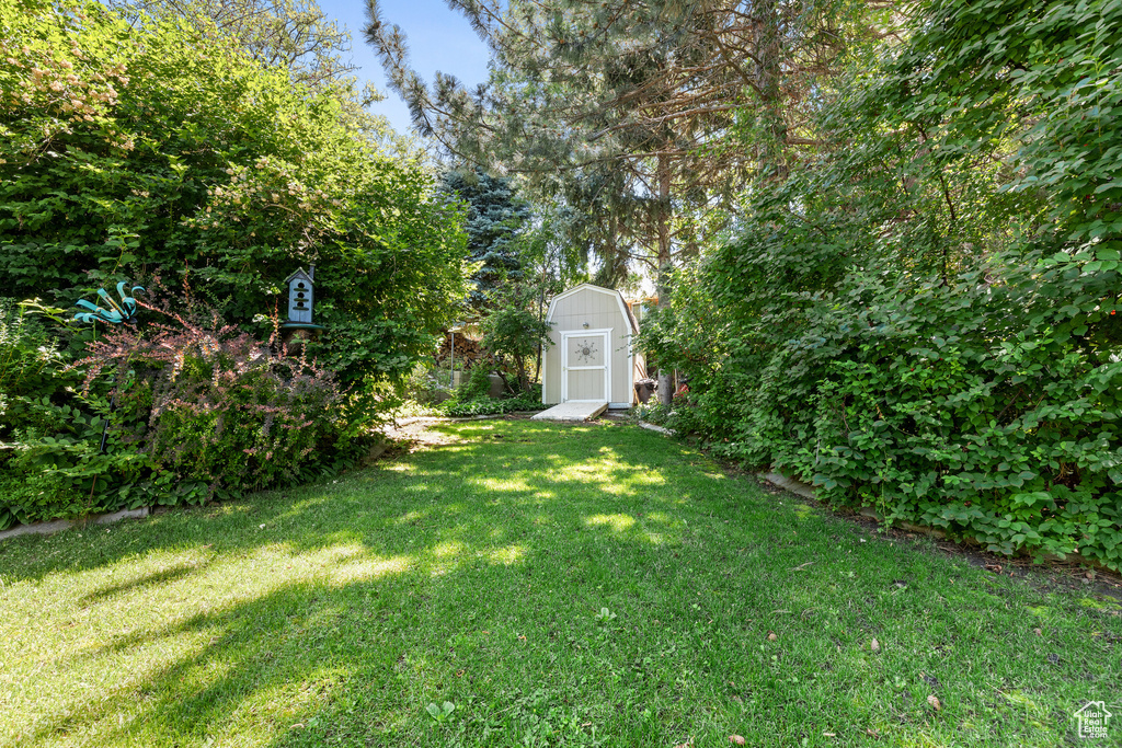 View of green lawn with a shed