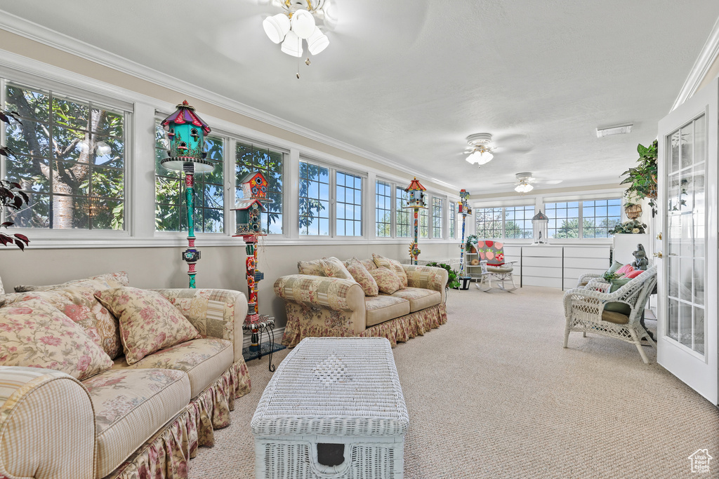 Sunroom / solarium with carpet floors and ornamental molding