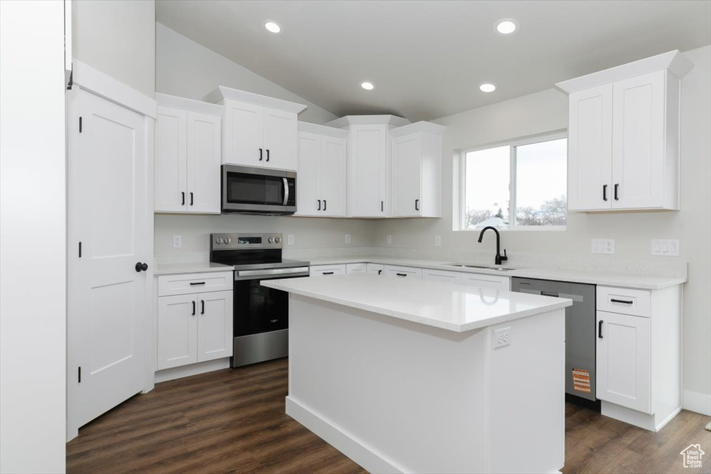 Kitchen with dark wood-style flooring, a sink, recessed lighting, and appliances with stainless steel finishes