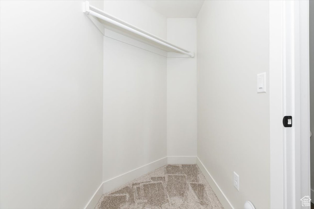 Spacious closet featuring light carpet