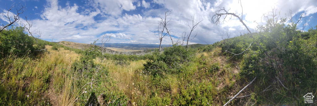 Mountain view