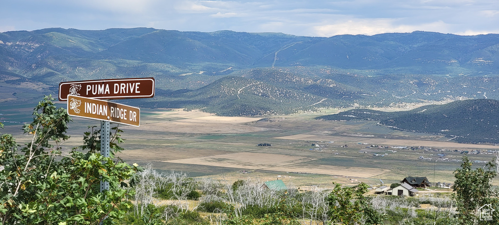 Mountain view