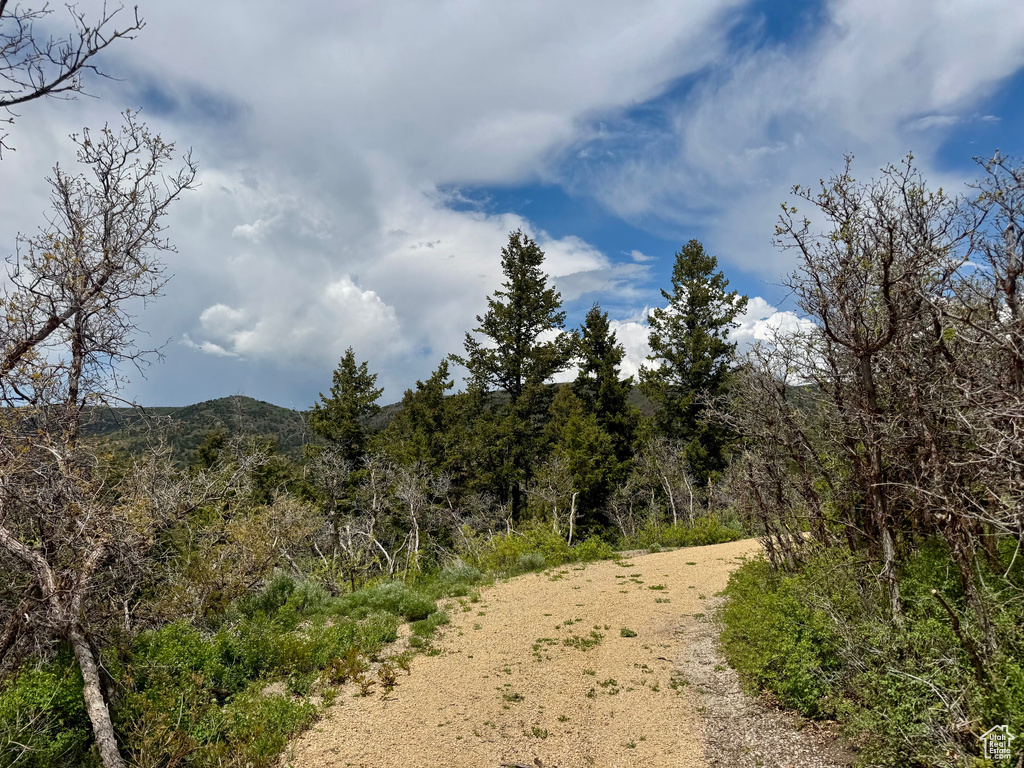 View of nature with a mountain backdrop