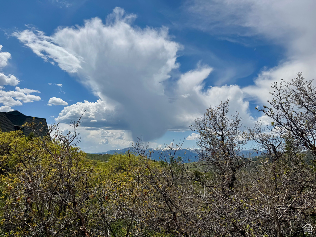 View of mountain backdrop