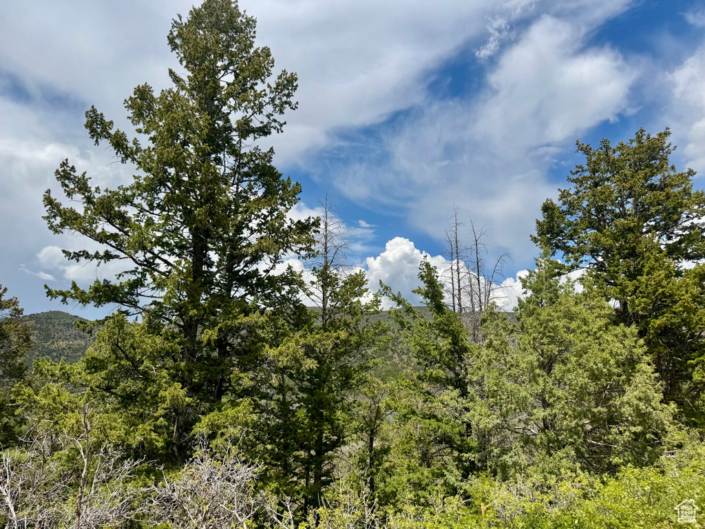 View of nature