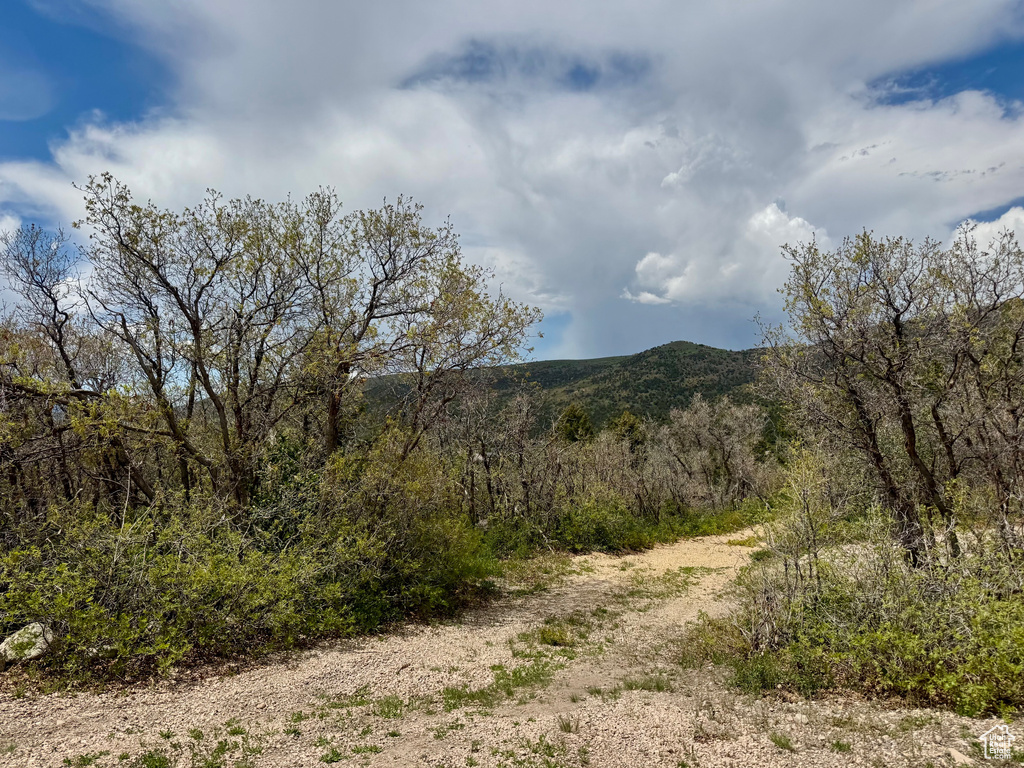 View of mountain background