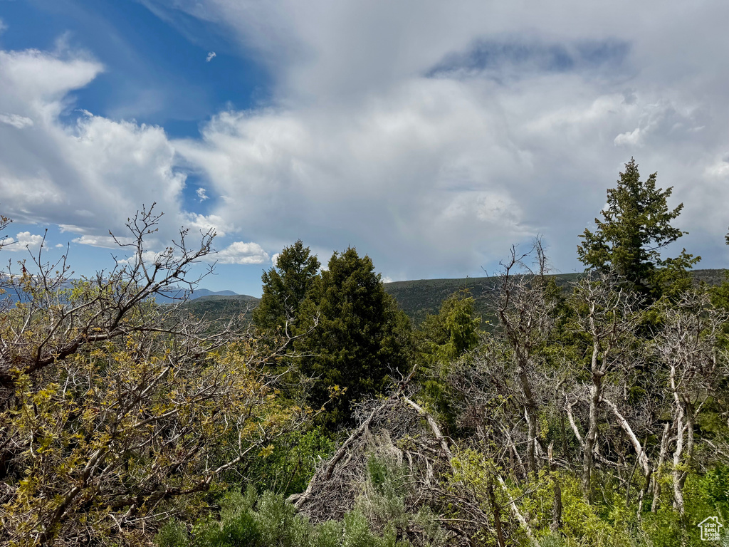 View of mountain background