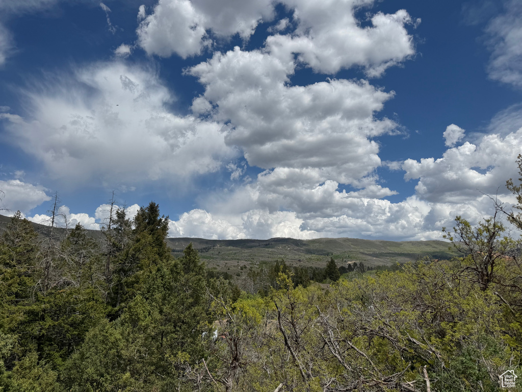 Mountain view