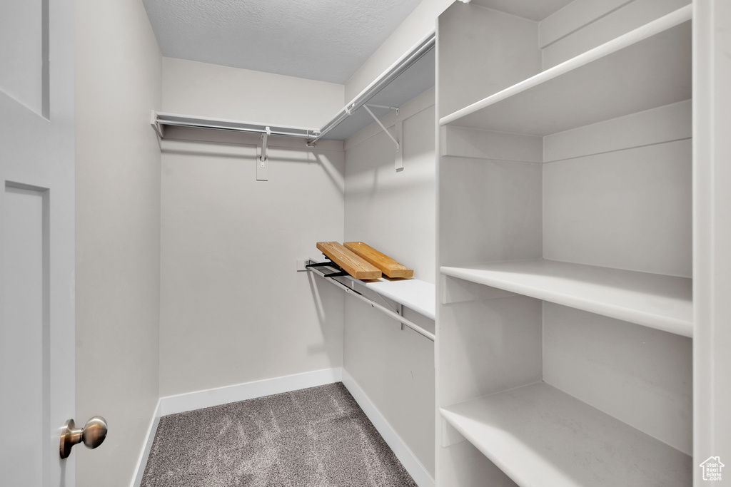 Walk in closet featuring carpet flooring