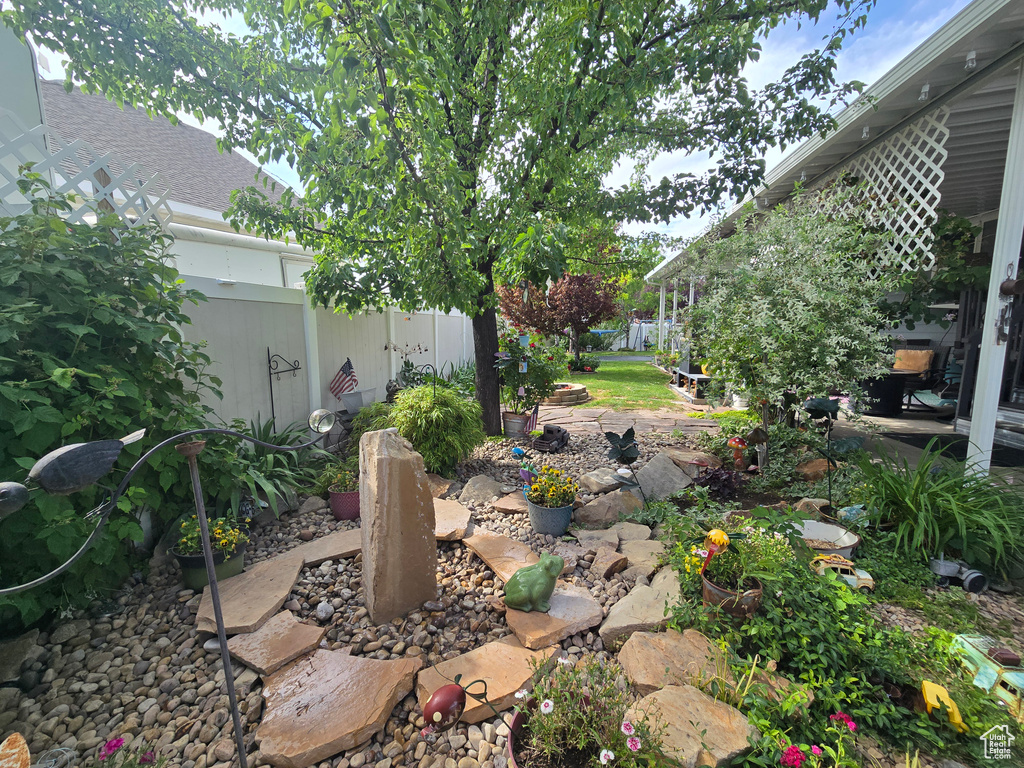 View of fenced backyard