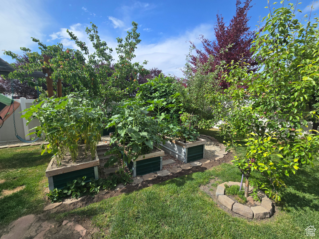 View of green lawn featuring a garden