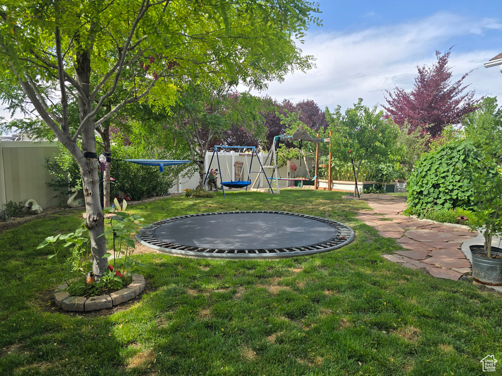 Fenced backyard with a trampoline and a playground