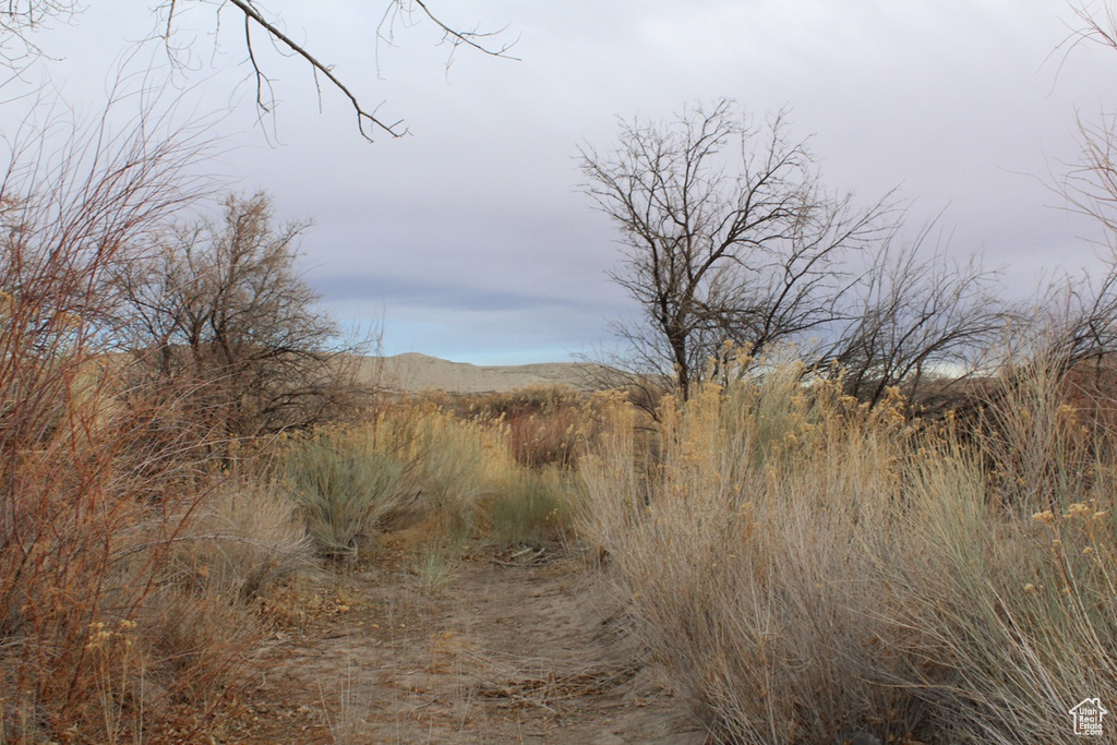 View of landscape featuring a mountain view