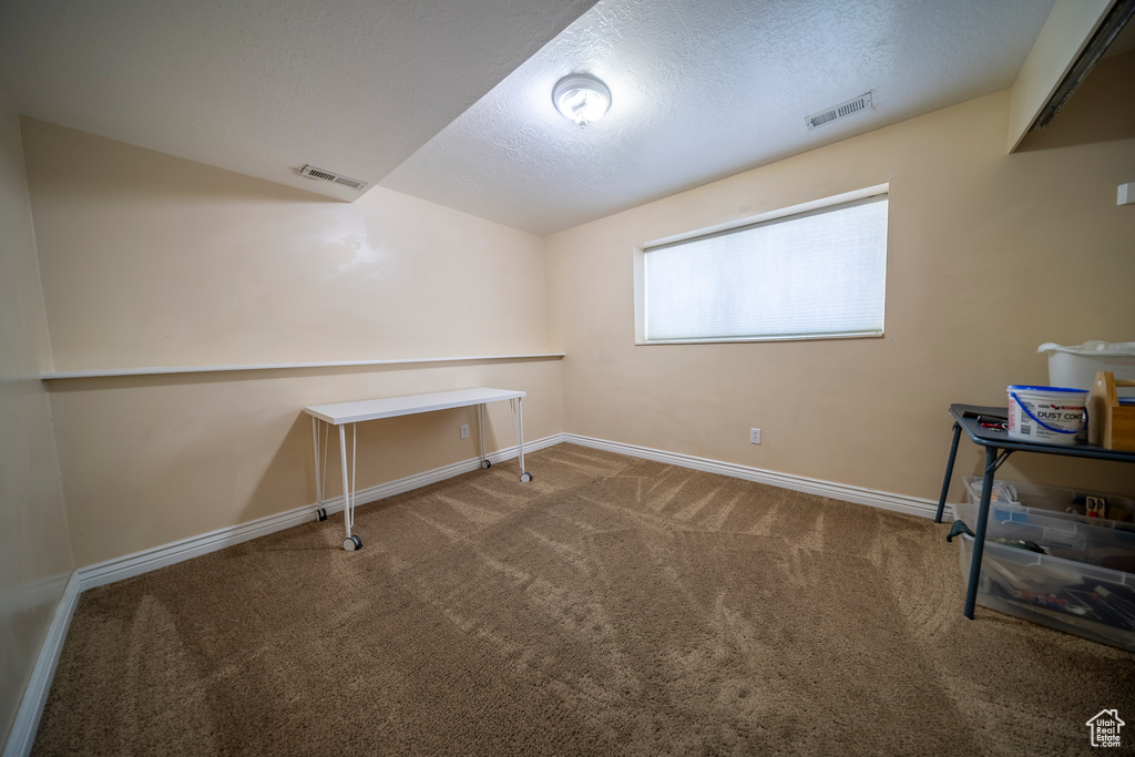 Below grade area featuring visible vents, a textured ceiling, baseboards, and carpet floors