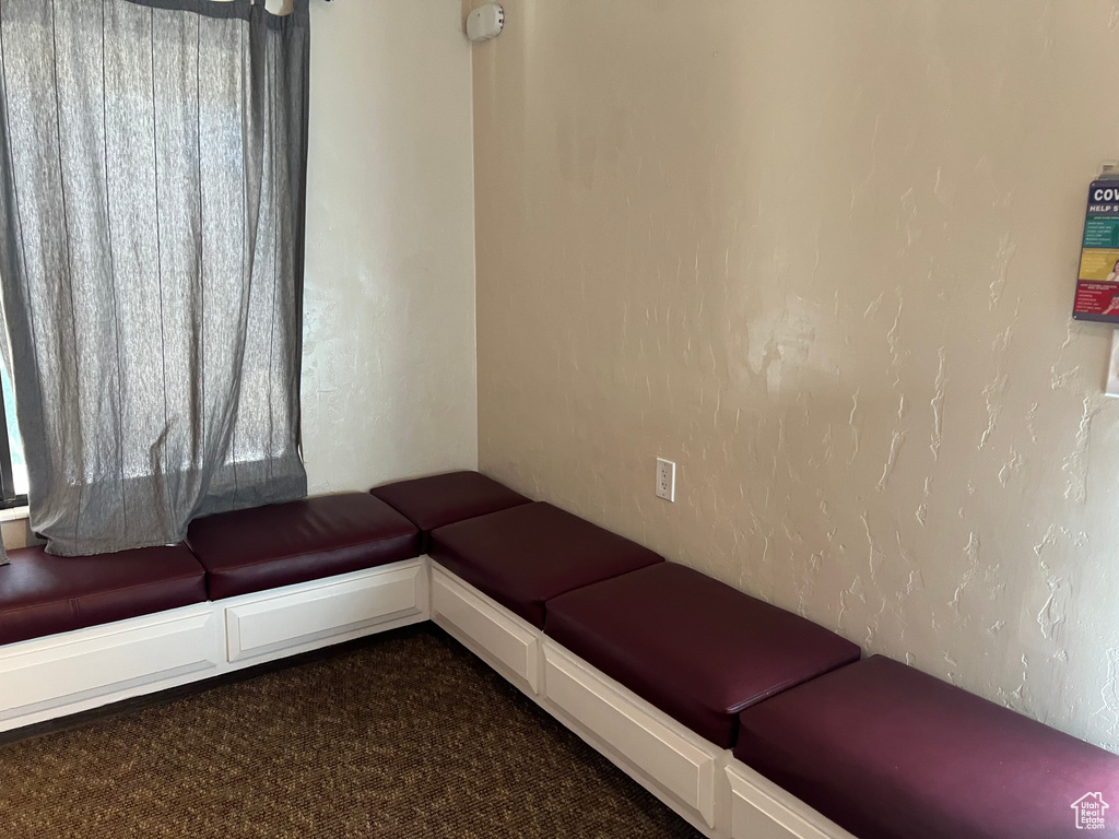 Unfurnished living room featuring dark colored carpet, a textured wall, and a healthy amount of sunlight