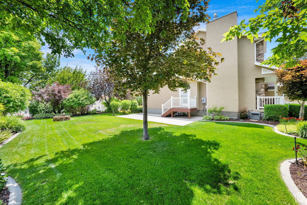 View of grassy yard