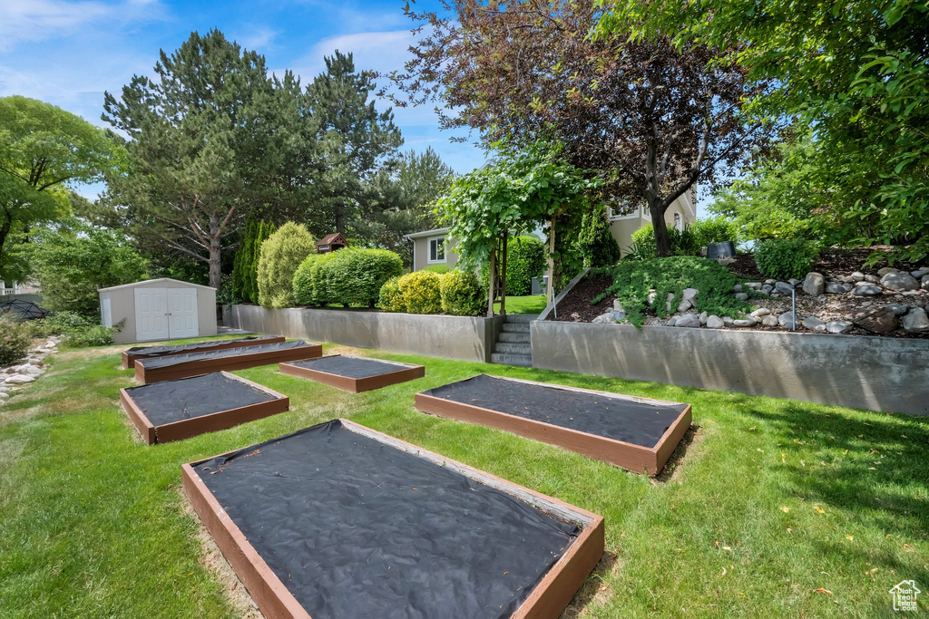 View of green lawn featuring a storage unit