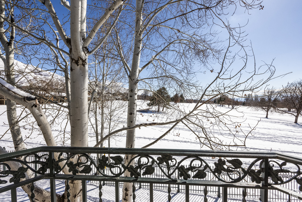 View of snow covered back of property