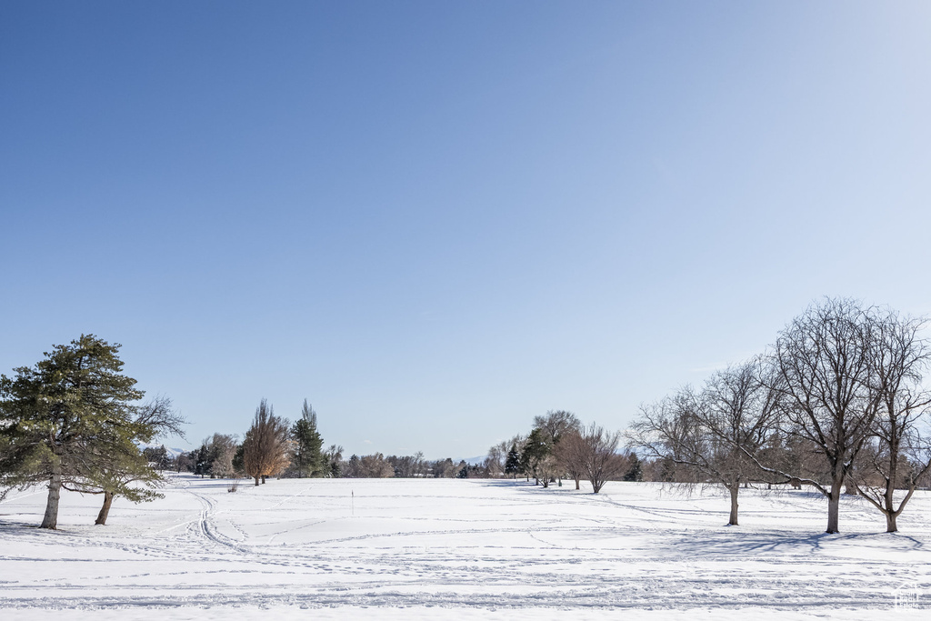 View of yard covered in snow