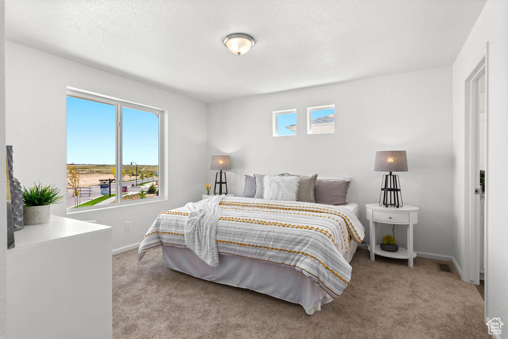 Carpeted bedroom with baseboards, multiple windows, and a textured ceiling