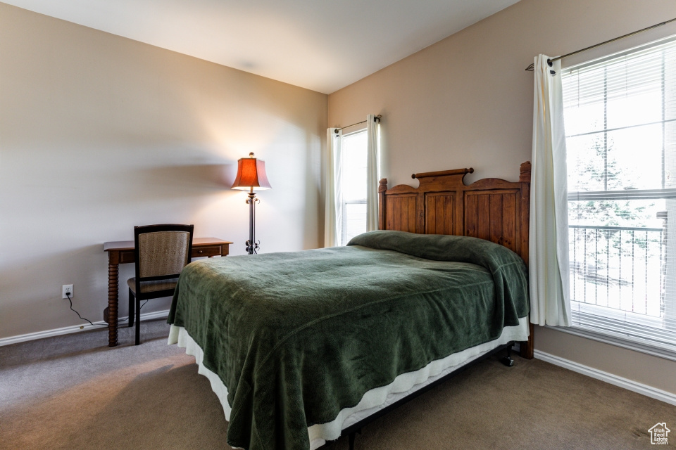 Carpeted bedroom with baseboards and multiple windows