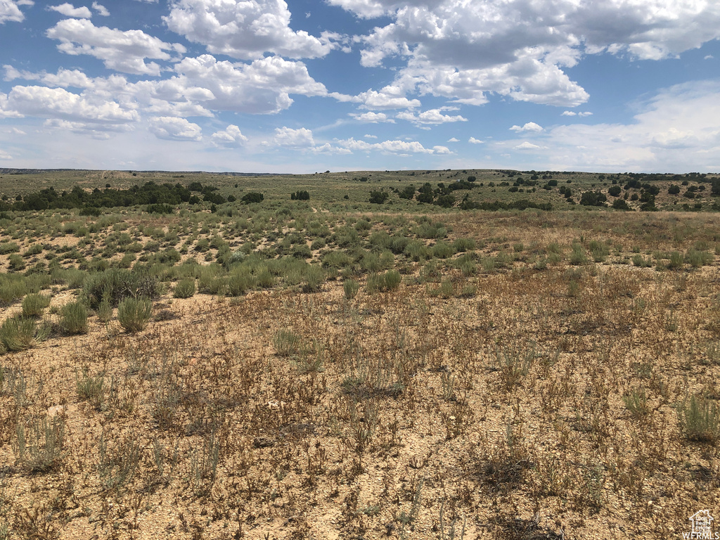 View of nature