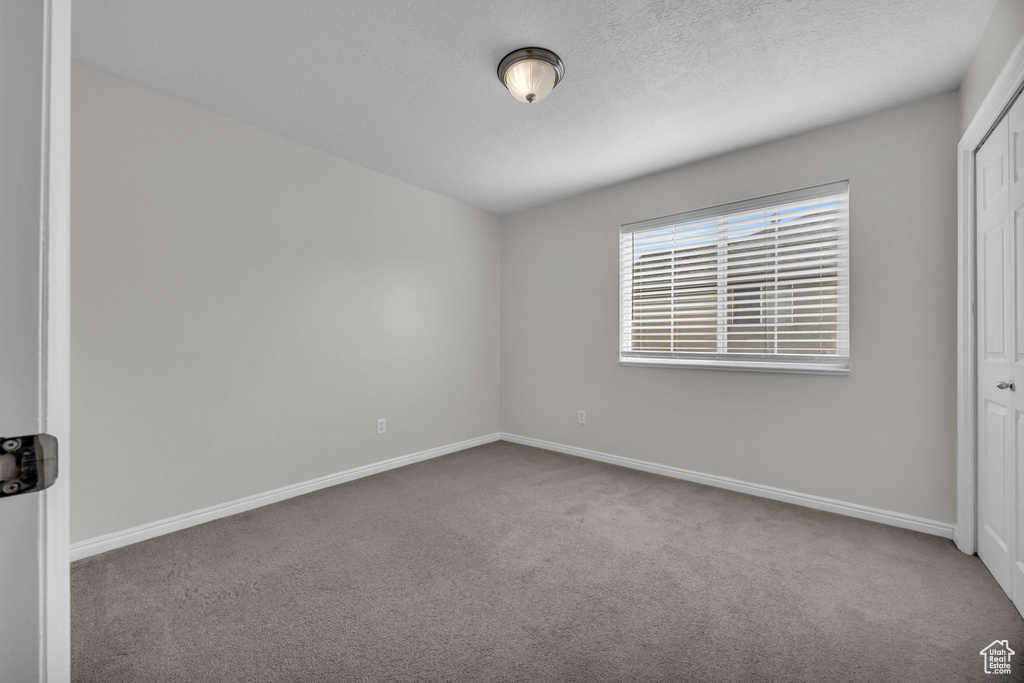 Unfurnished bedroom featuring baseboards, a closet, carpet flooring, and a textured ceiling