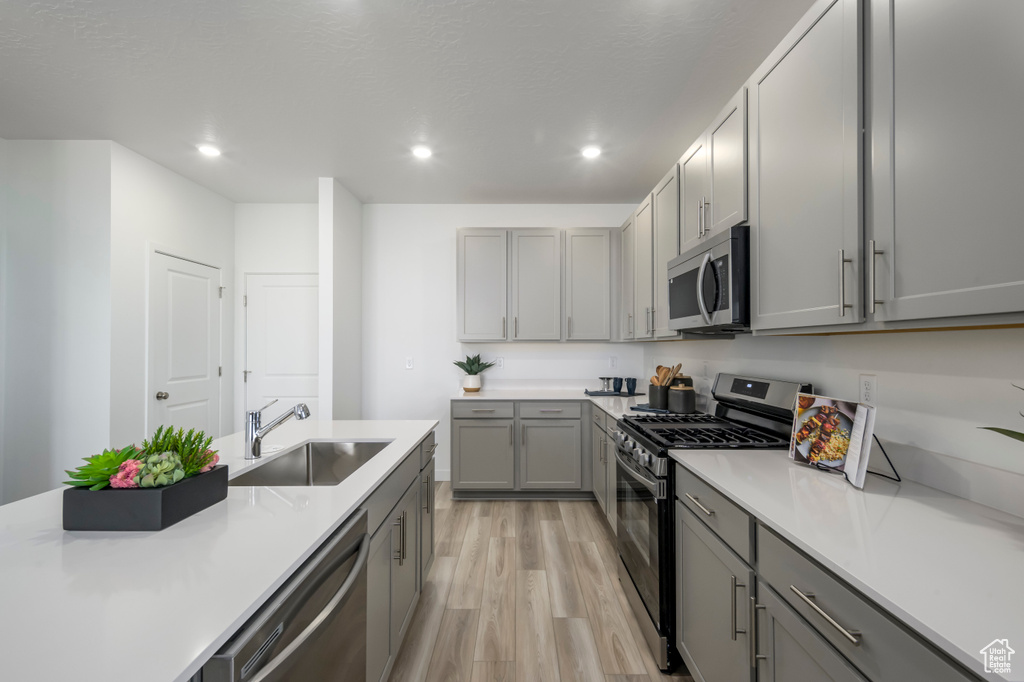 Kitchen featuring gray cabinets, light countertops, a sink, appliances with stainless steel finishes, and light wood-style flooring