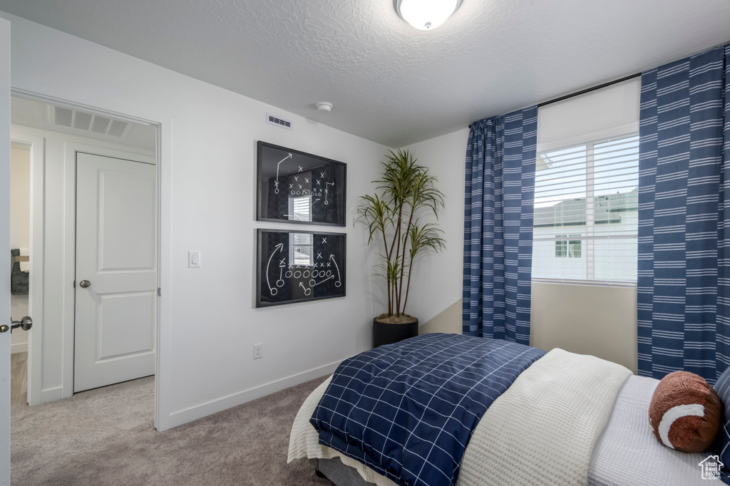 Bedroom with visible vents, carpet, baseboards, and a textured ceiling