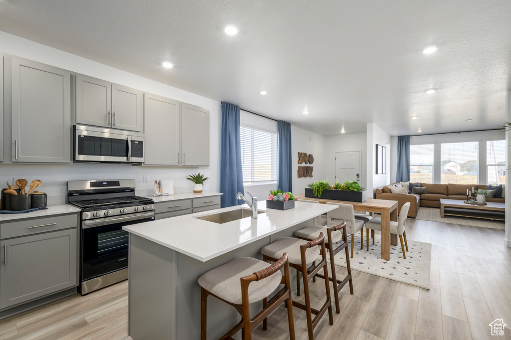 Kitchen featuring light wood finished floors, a kitchen island with sink, stainless steel appliances, a sink, and gray cabinetry