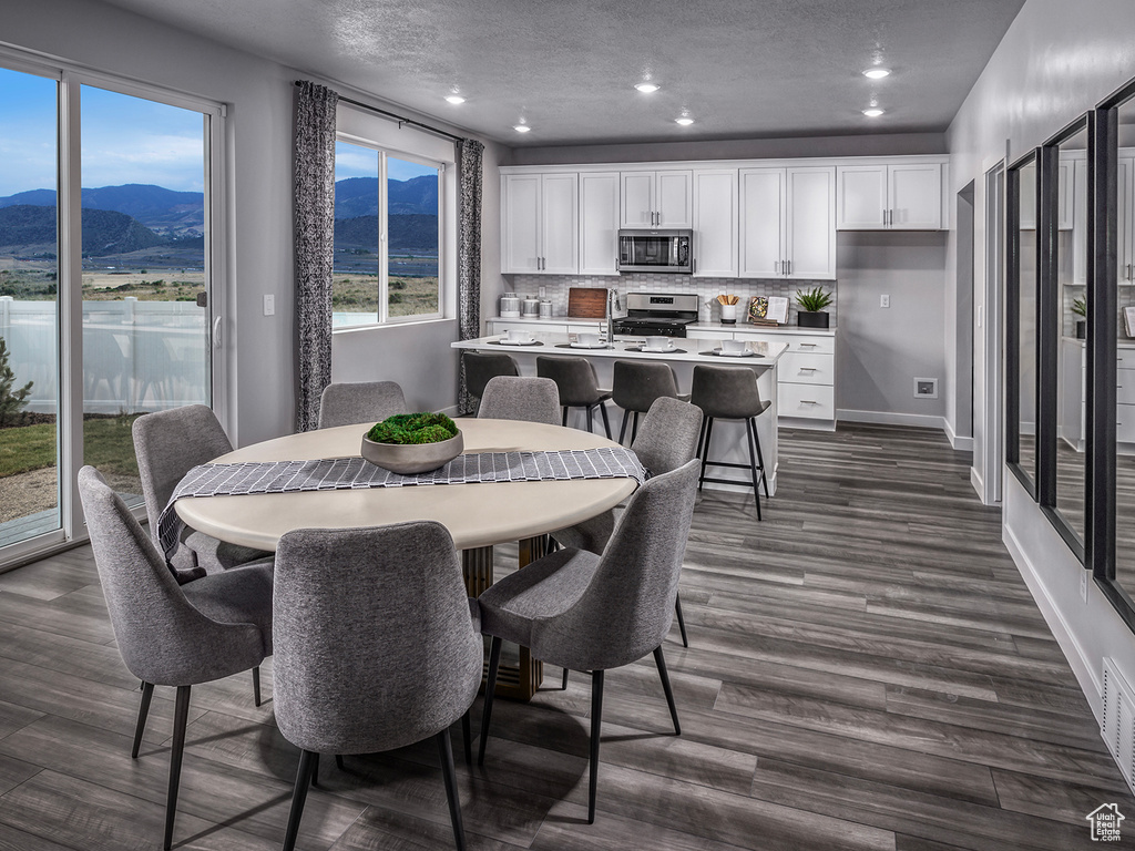 Dining room featuring dark wood finished floors, baseboards, a mountain view, and a wealth of natural light