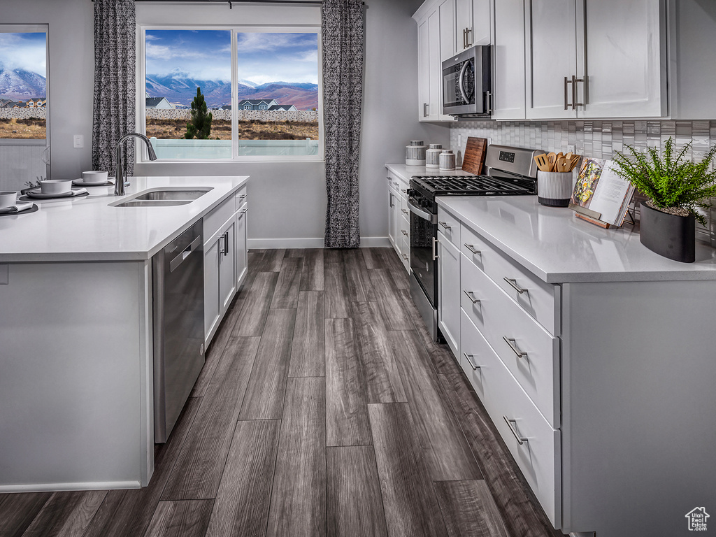 Kitchen featuring dark wood-style floors, backsplash, stainless steel appliances, and a sink