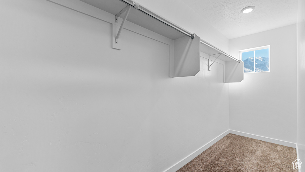 Walk in closet with light carpet