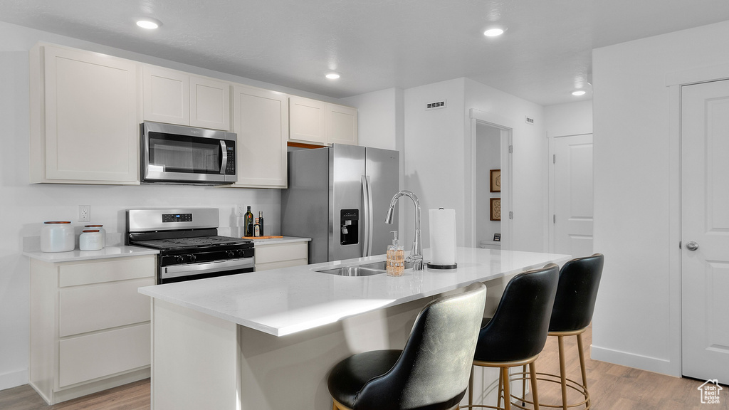Kitchen with light countertops, light wood-style floors, a sink, and stainless steel appliances