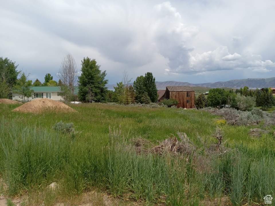 View of yard featuring a mountain view