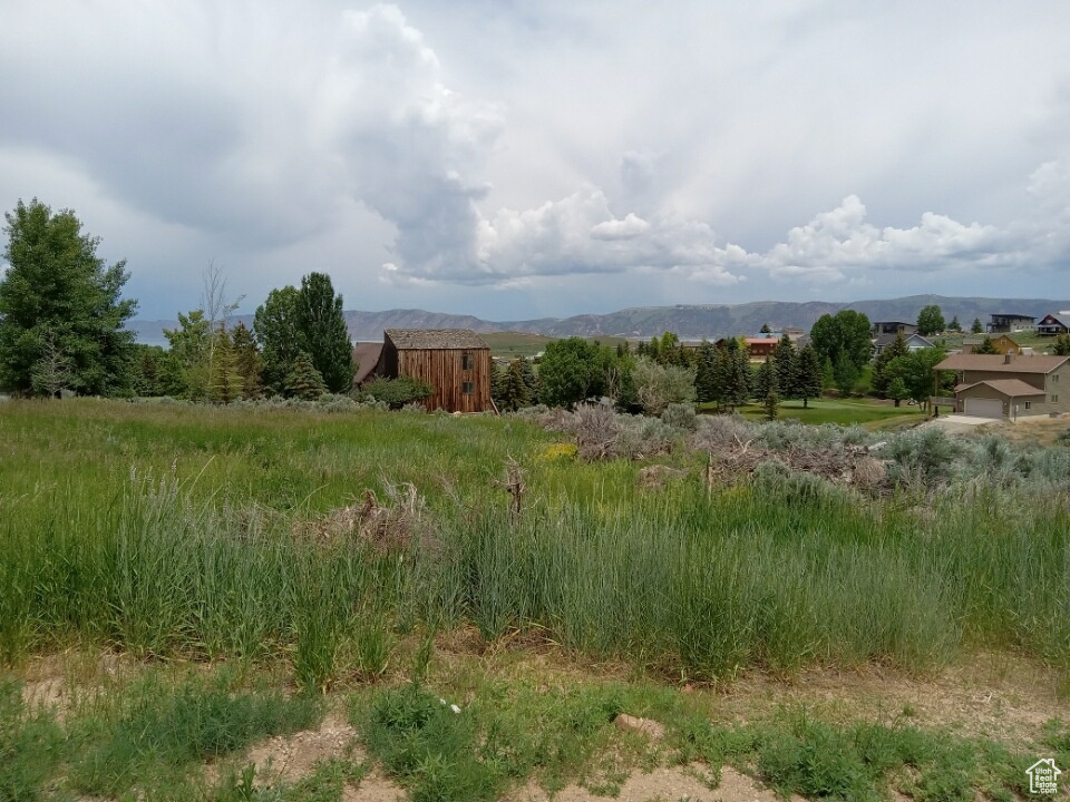 View of yard with a mountain view and a rural view