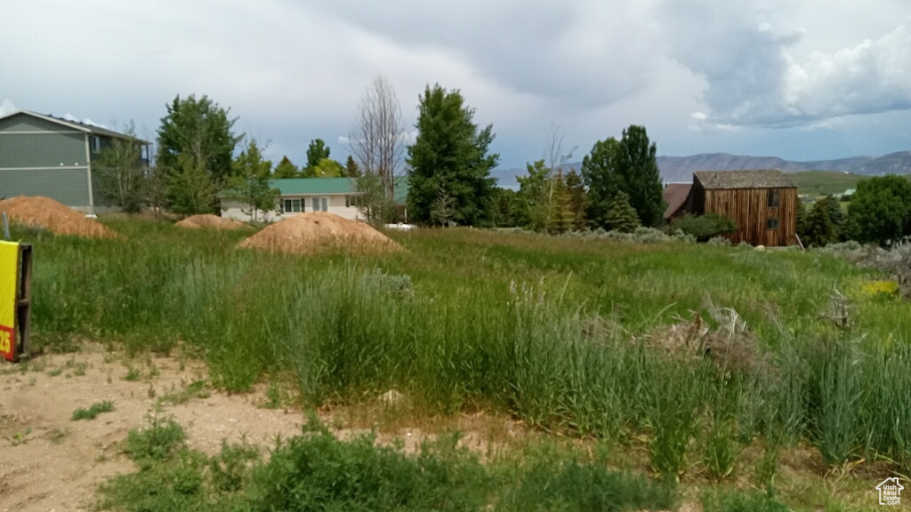 View of yard featuring an outbuilding, a mountain view, and a storage shed