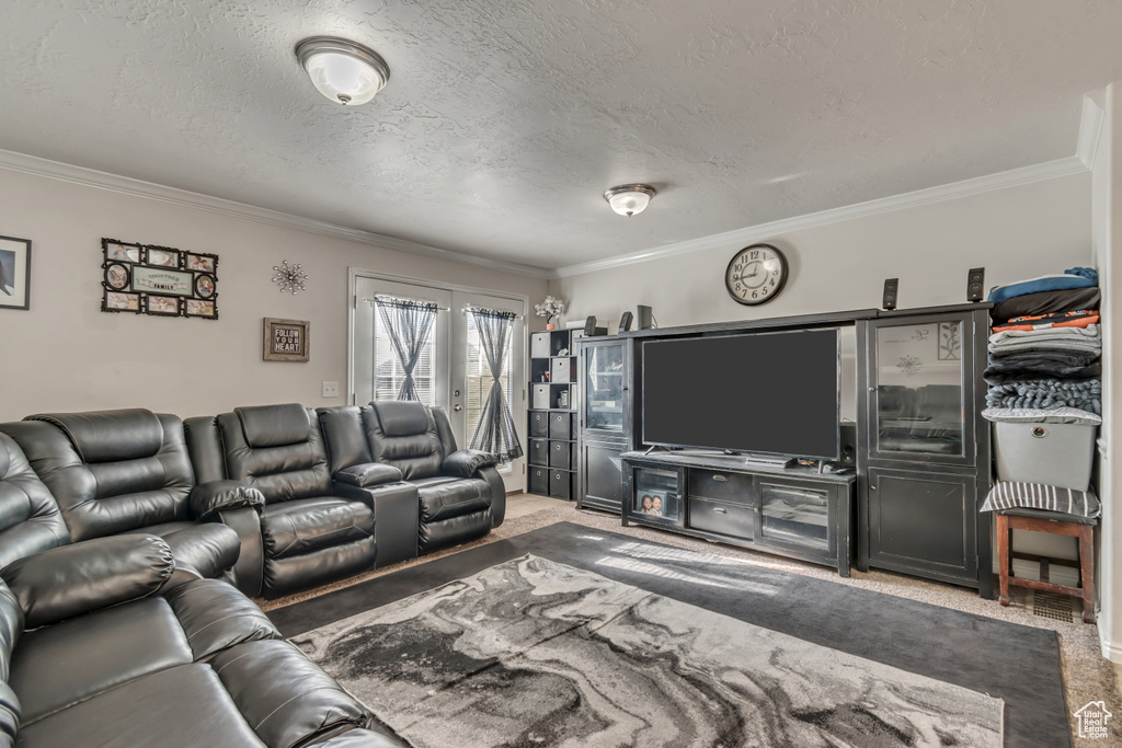 Living area with a textured ceiling, crown molding, and carpet