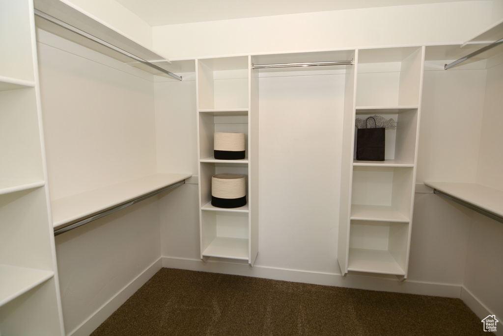 Spacious closet with dark colored carpet