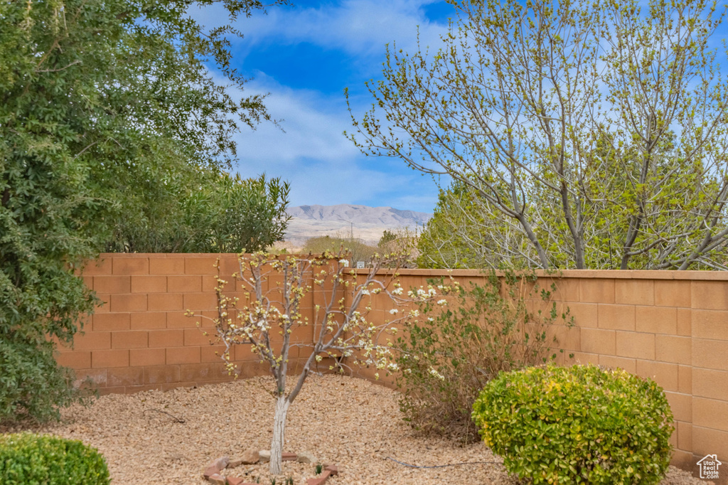 View of yard with a mountain view and a fenced backyard