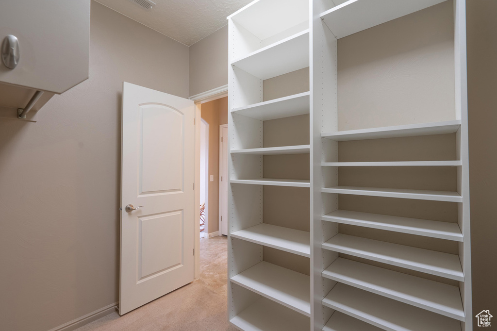Spacious closet with carpet floors and visible vents