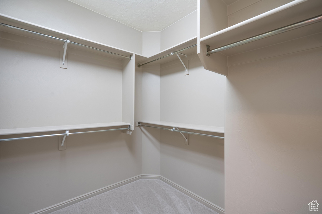 Walk in closet with carpet floors