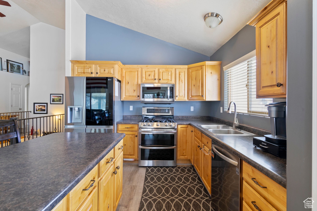 Kitchen featuring dark countertops, a sink, vaulted ceiling, stainless steel appliances, and dark wood-style flooring