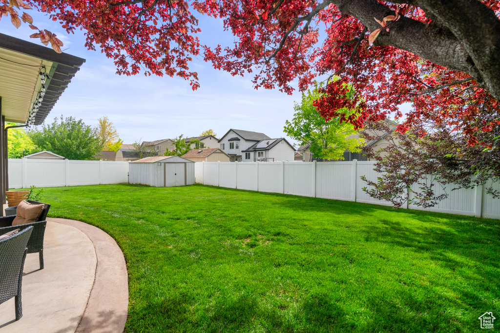View of yard featuring a patio area