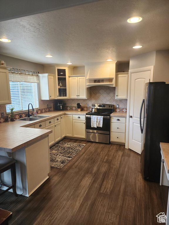 Kitchen with tasteful backsplash, dark wood-type flooring, stainless steel electric range, freestanding refrigerator, and a sink